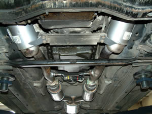 Underside from Cats